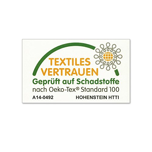 Vicco Kinderbett Wiki 90x200 Hausbett Grau Kinderhaus Bett Kinder Holz Haus Schlafen Spielbett Inkl. Lattenrost und 7-Zonen Kaltschaummatratze, lackiertes Massivholz - 8
